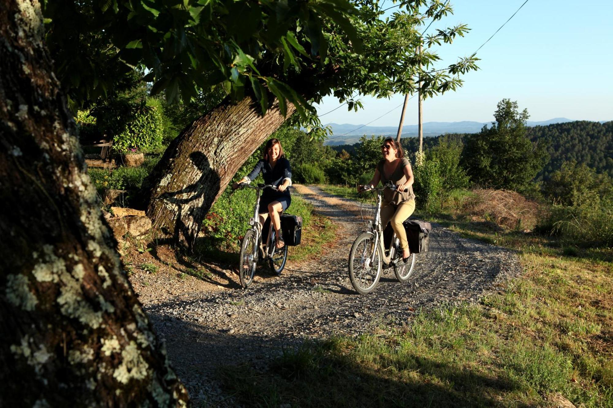 Auberge De La Tour De Brison Sanilhac  Εξωτερικό φωτογραφία